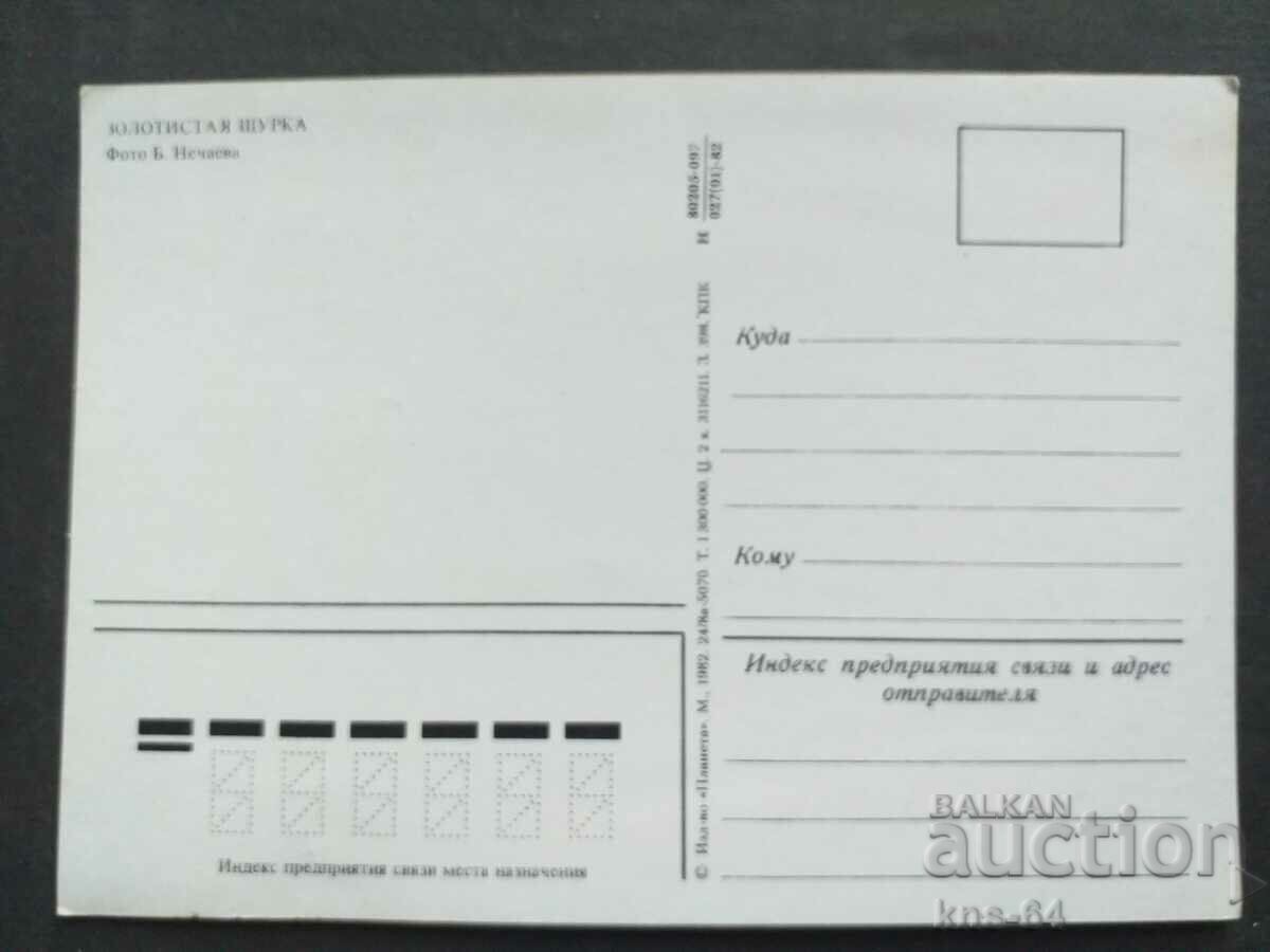 Birds with price 0.65 BGN | € 0.33 Birds with price 0.65 BGN | € 0.33