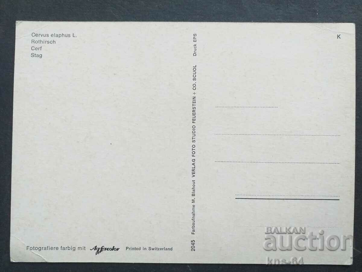 Animals with price 0.75 BGN | € 0.38 Animals with price 0.75 BGN | € 0.38