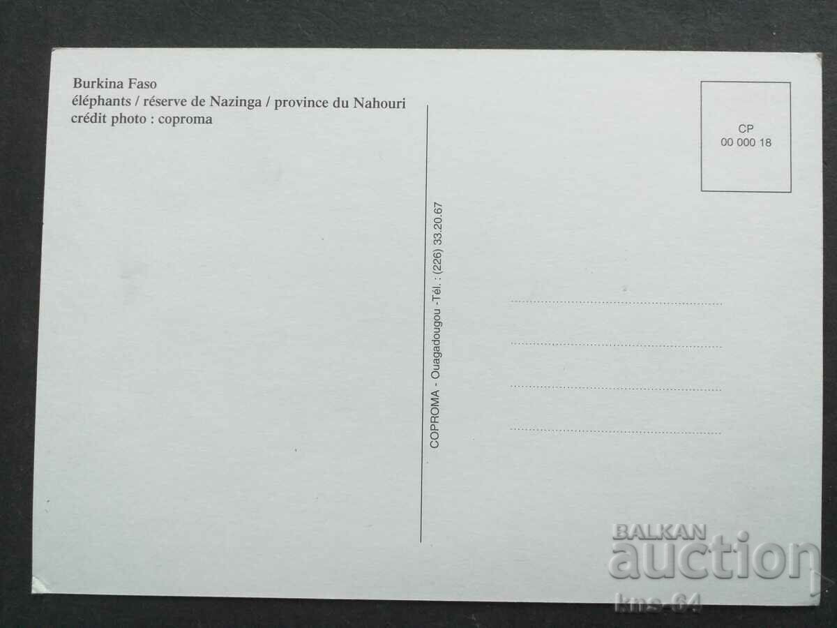 Animals Burkina Faso with price 0.95 BGN | € 0.49 Animals Burkina Faso with price 0.95 BGN | € 0.49