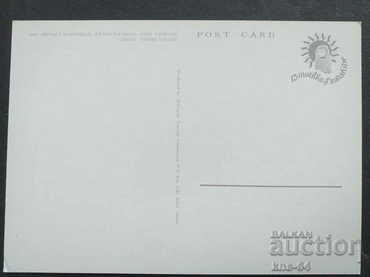 Animals Ethiopia with price 1.00 BGN | € 0.51 Animals Ethiopia with price 1.00 BGN | € 0.51