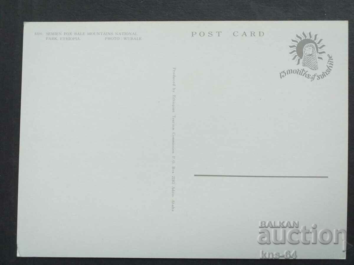 Animals Ethiopia with price 1.00 BGN | € 0.51 Animals Ethiopia with price 1.00 BGN | € 0.51