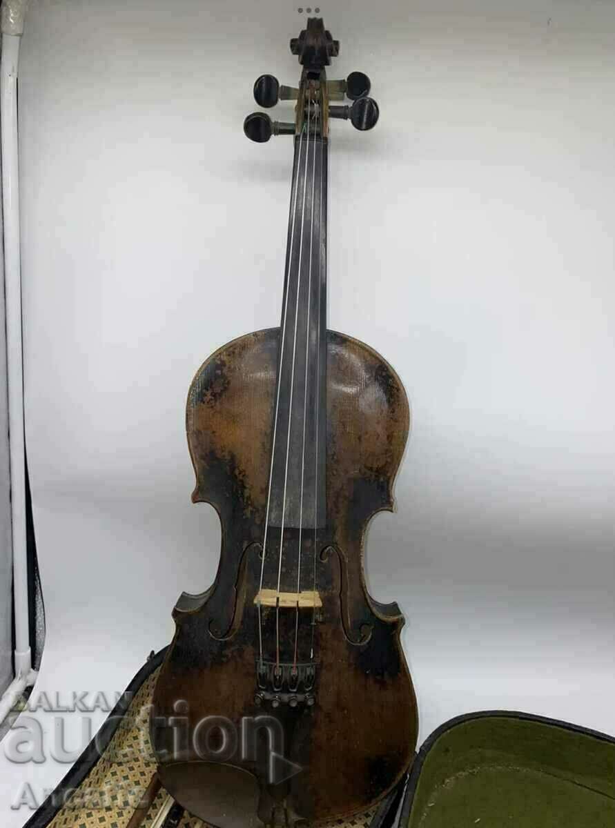 Violin