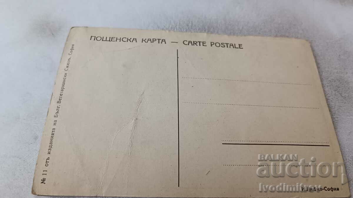 Postcard L. N. Tolstoy with price 2.35 BGN | € 1.20 Postcard L. N. Tolstoy with price 2.35 BGN | € 1.20