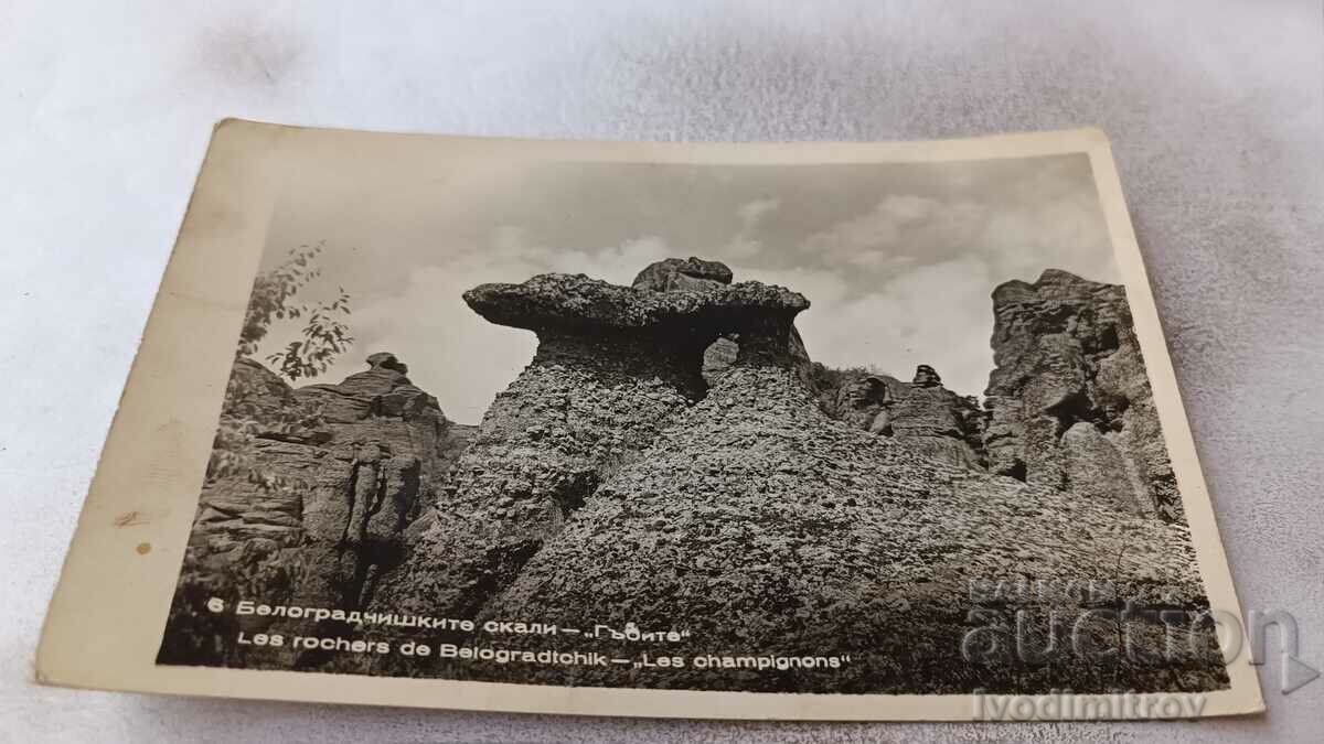 Καρτ ποστάλ Belogradchik Rocks Μανιτάρια