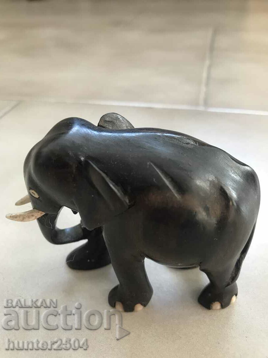 Слонче- абанос,7/7 см с цена 34.95 лв. | € 17.87 Слонче- абанос,7/7 см с цена 34.95 лв. | € 17.87