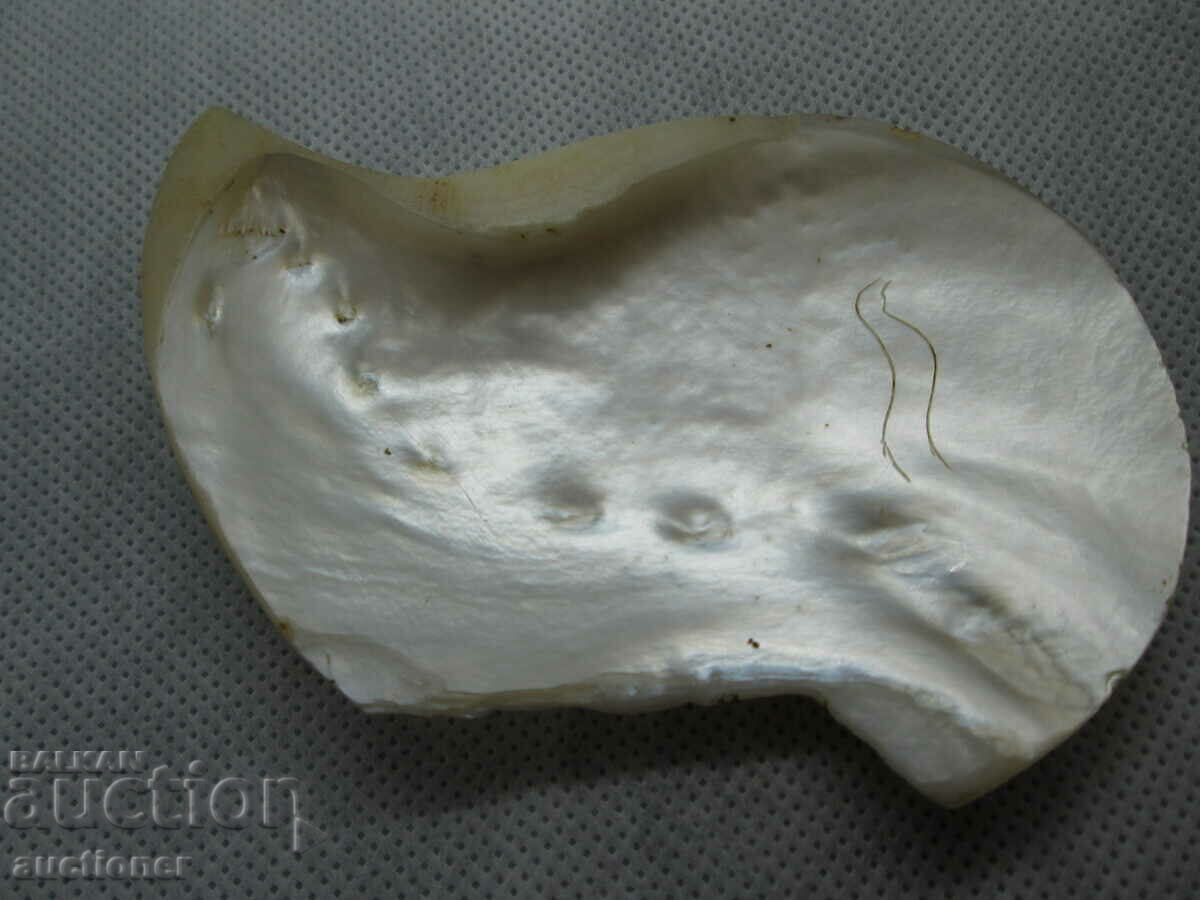 PAFTA, PEACH PEARL OF HALF PAFTA with price 250.00 BGN | € 127.82 PAFTA, PEACH PEARL OF HALF PAFTA with price 250.00 BGN | € 127.82