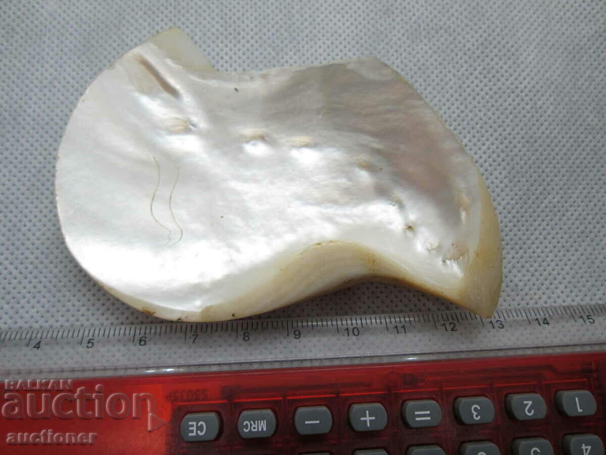 Delivery of PAFTA, PEACH PEARL OF HALF PAFTA Delivery of PAFTA, PEACH PEARL OF HALF PAFTA