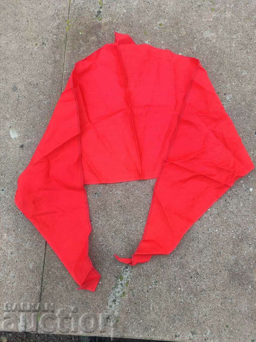 Licitație Pionier conexiune NRB Licitație Pionier conexiune NRB