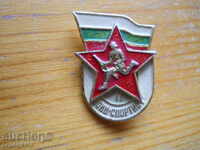 badge "Warrior-athlete - 2nd rank"
