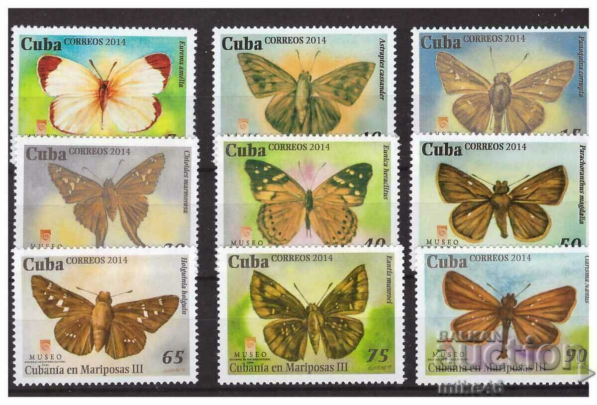 CUBA 2014 Butterflies clean streak