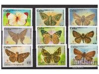CUBA 2014 Butterflies clean streak