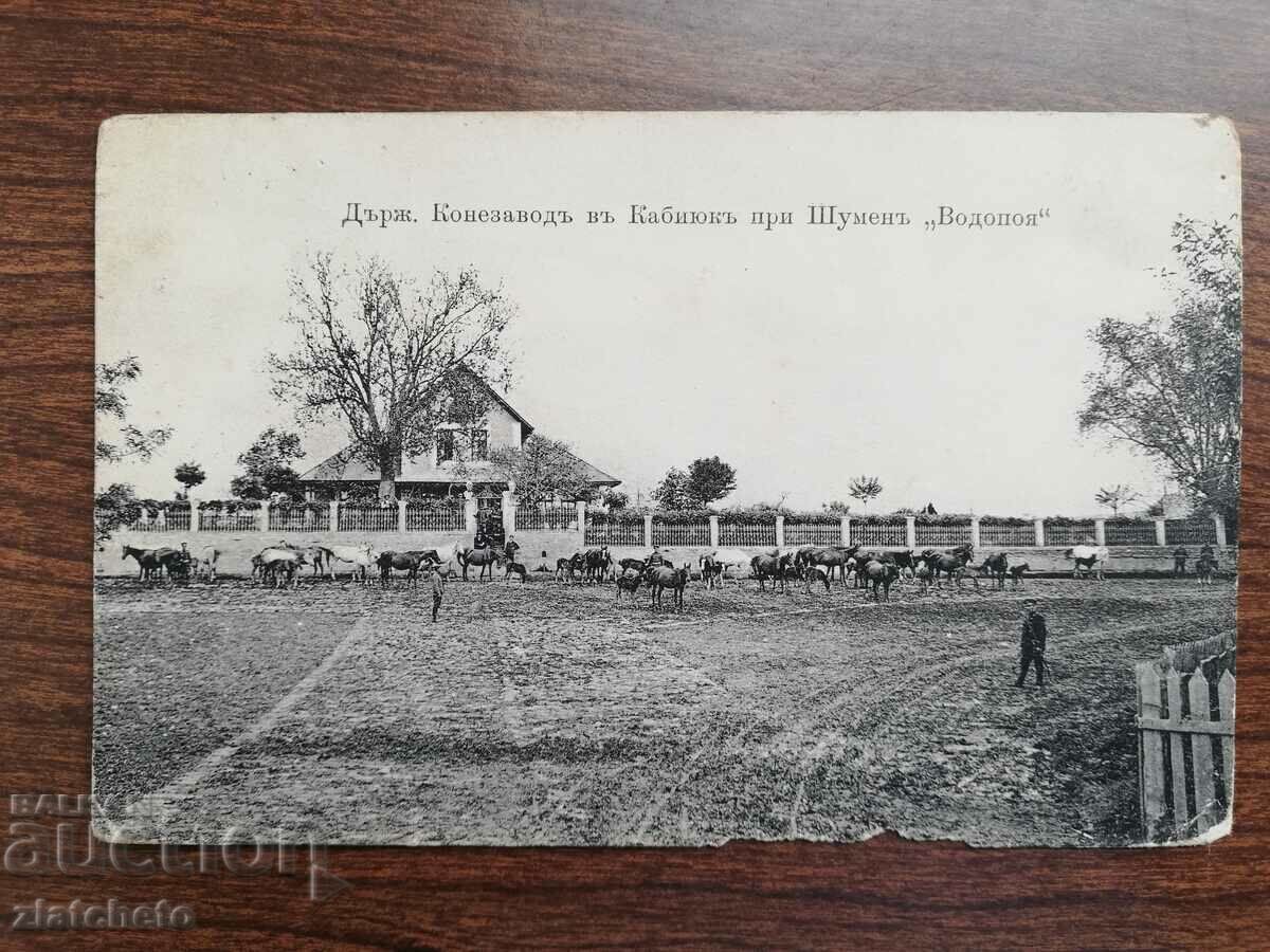 Postal card Kingdom of Bulgaria - State stud farm in Kabiyuk