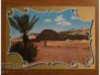 CARD, Algeria - Timimoun