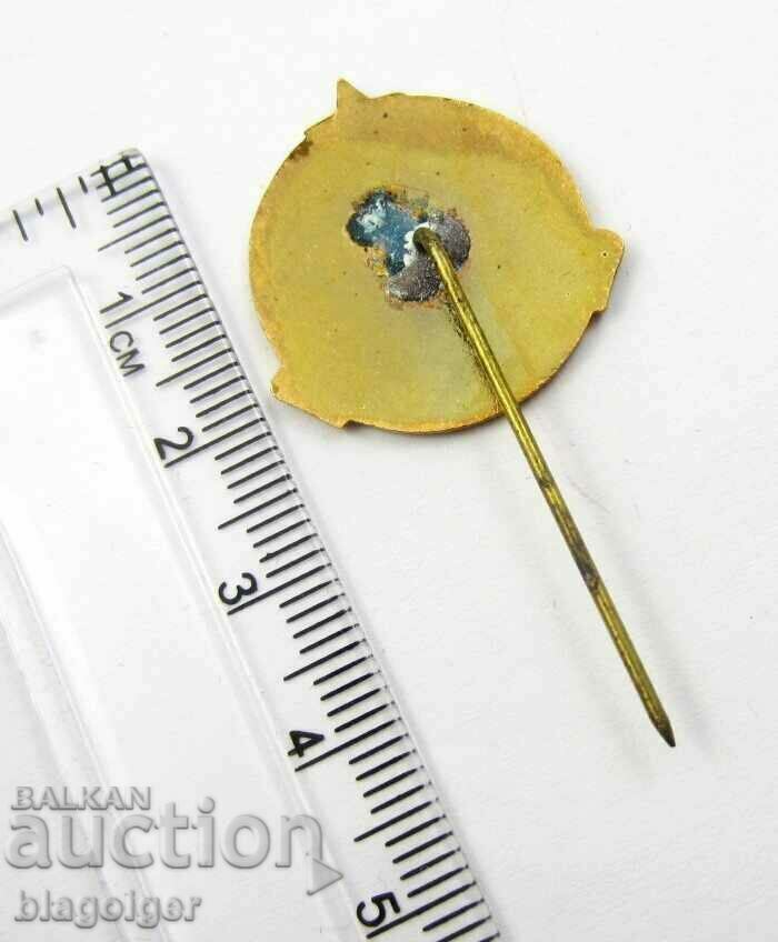 Award badge-Young excellent student-Red Cross-Enamel with price 9.99 BGN | € 5.11 Award badge-Young excellent student-Red Cross-Enamel with price 9.99 BGN | € 5.11