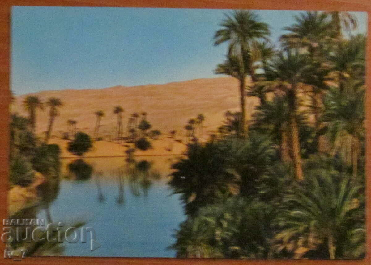 CARD, Algeria