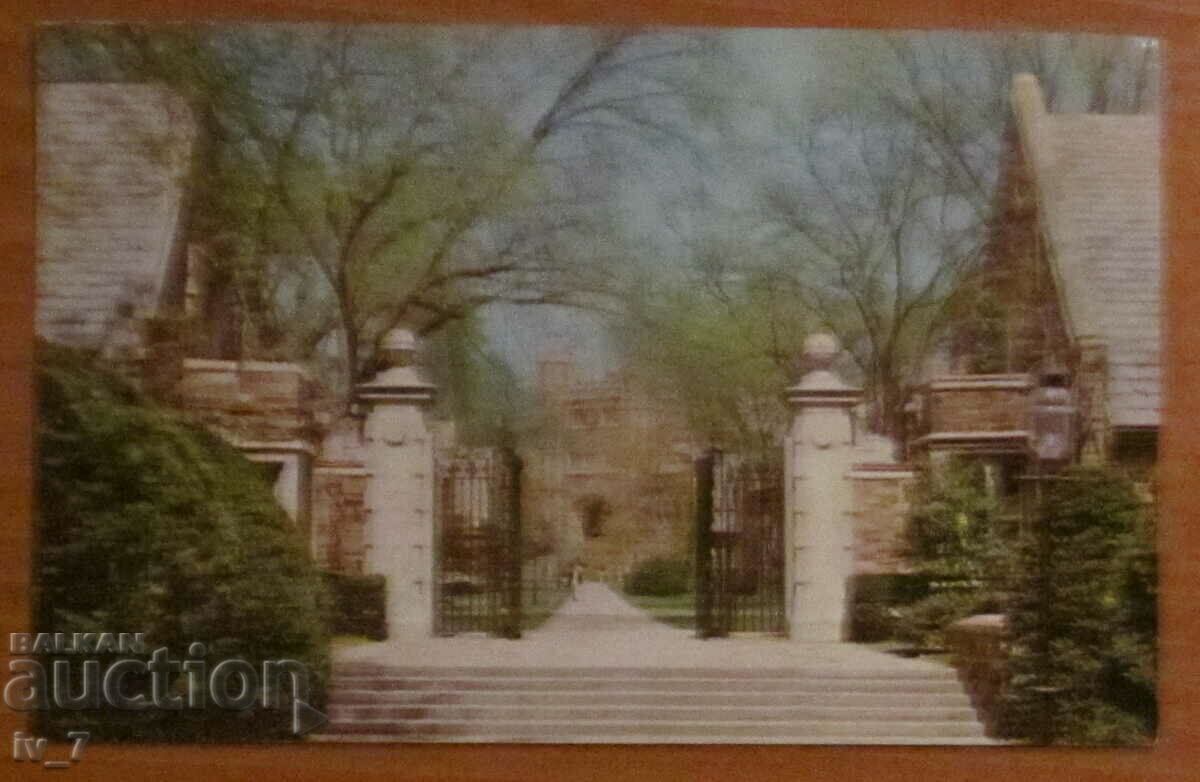 CARD, USA - Princeton University