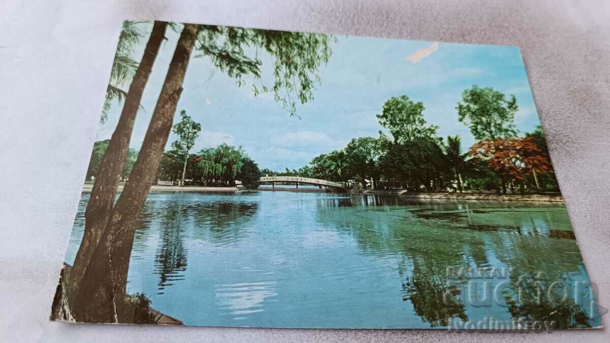 Postcard Hanoi In the Reunification Park 1977