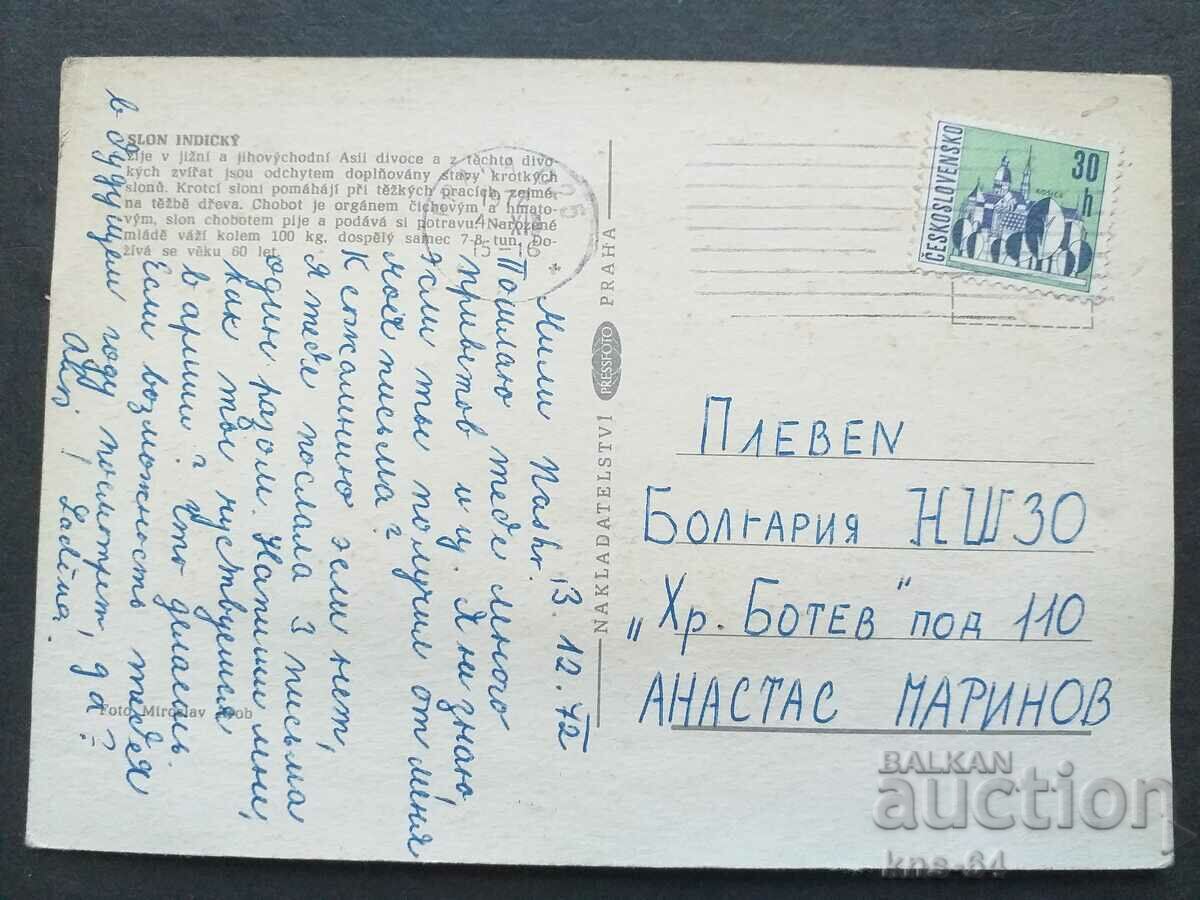 Animals with price 0.95 BGN | € 0.49 Animals with price 0.95 BGN | € 0.49