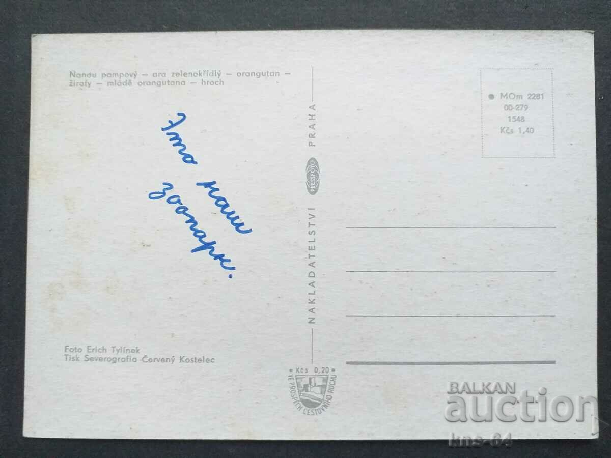 Animals with price 1.20 BGN | € 0.61 Animals with price 1.20 BGN | € 0.61