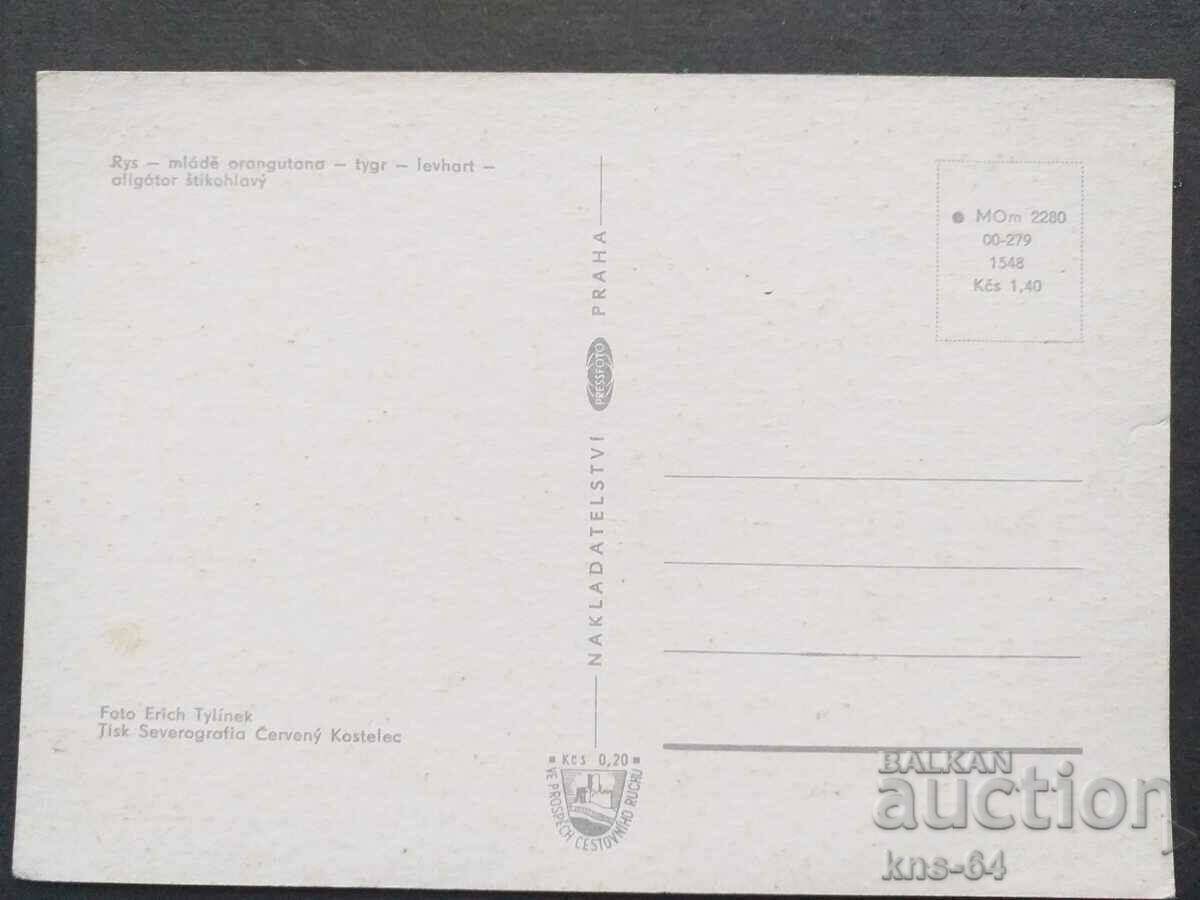 Animals with price 1.20 BGN | € 0.61 Animals with price 1.20 BGN | € 0.61