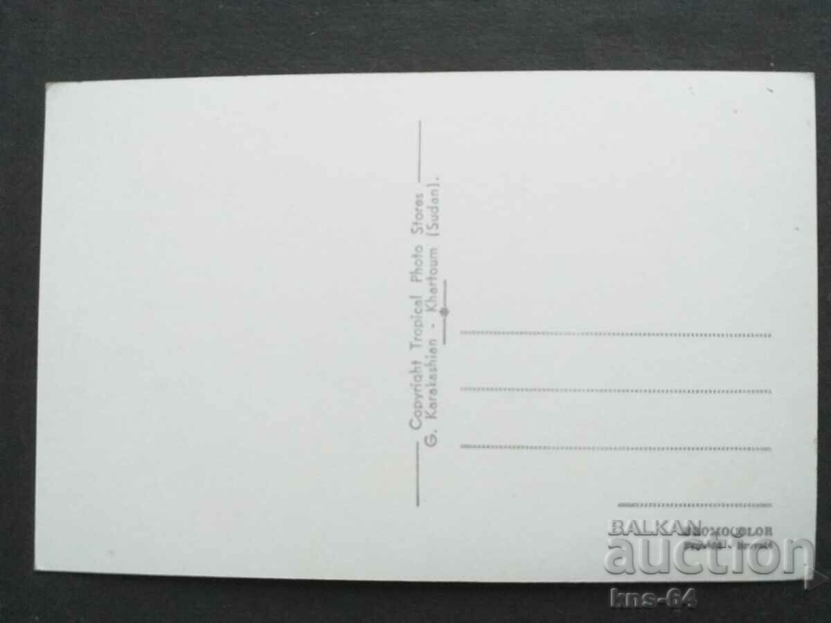 Animals with price 1.20 BGN | € 0.61 Animals with price 1.20 BGN | € 0.61