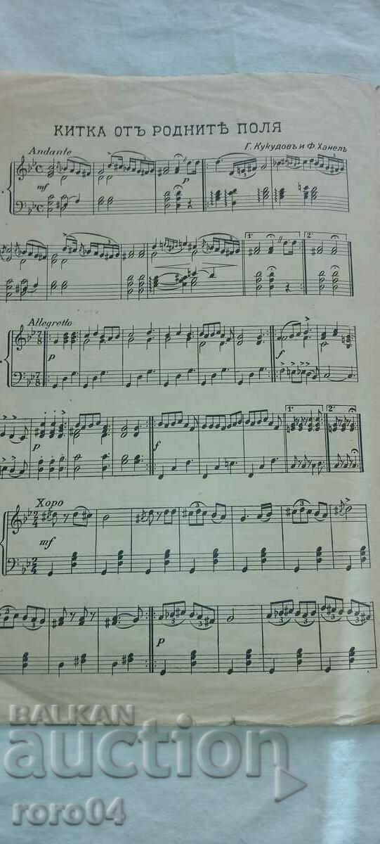 A BUNDLE FROM THE NATIVE FIELDS AND FORESTS - 5 A BUNDLE FROM THE NATIVE FIELDS AND FORESTS - 5