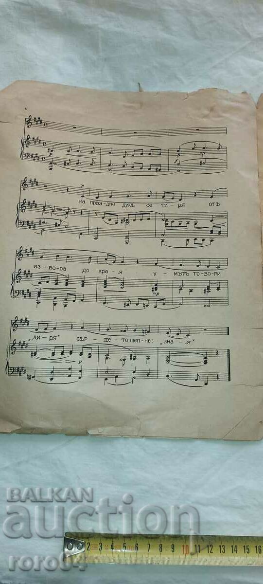 RIDDLE - IVAN VAZOV - 6 RIDDLE - IVAN VAZOV - 6