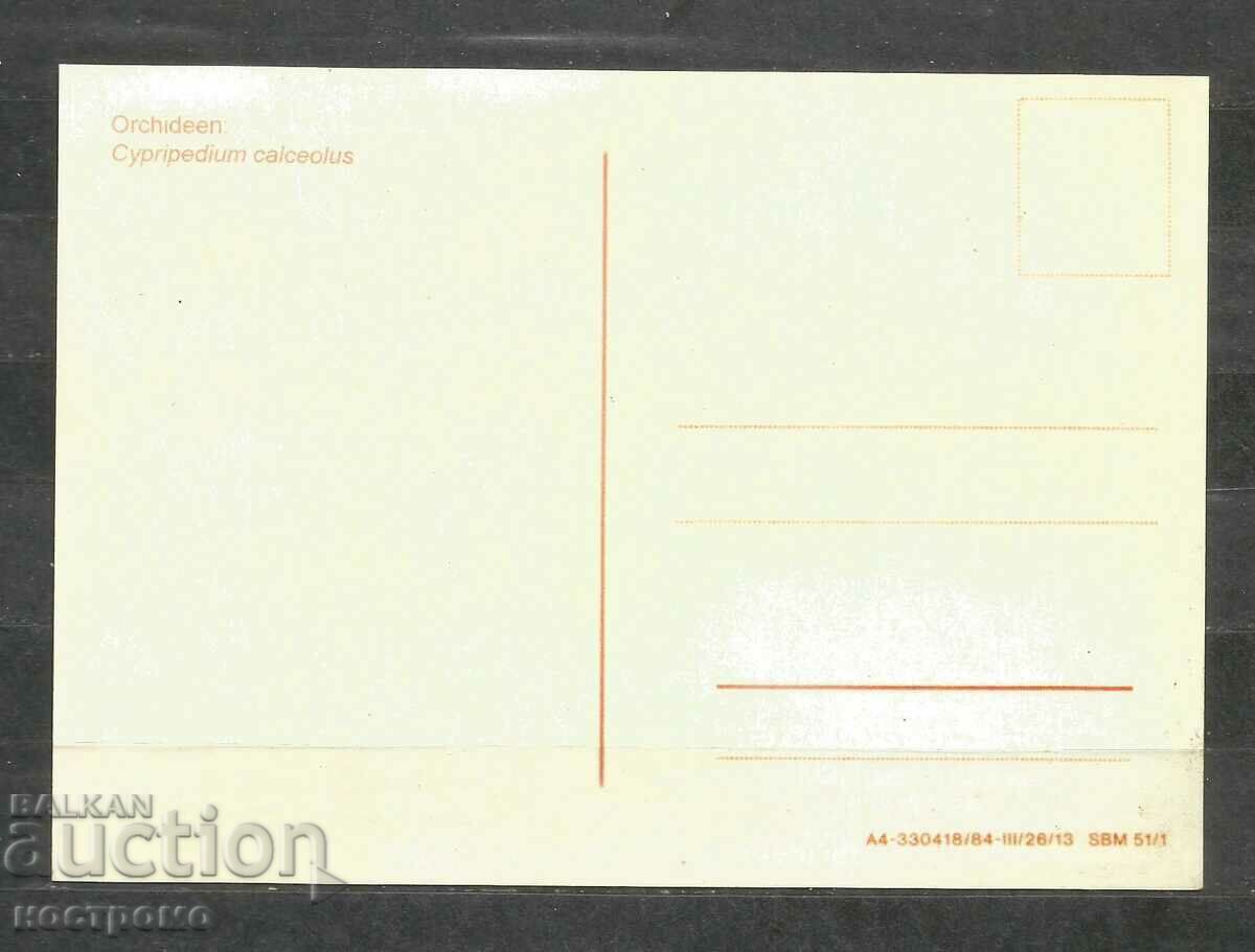 Orchideen - Germany Post card - A 1667 with price 1.00 BGN | € 0.51