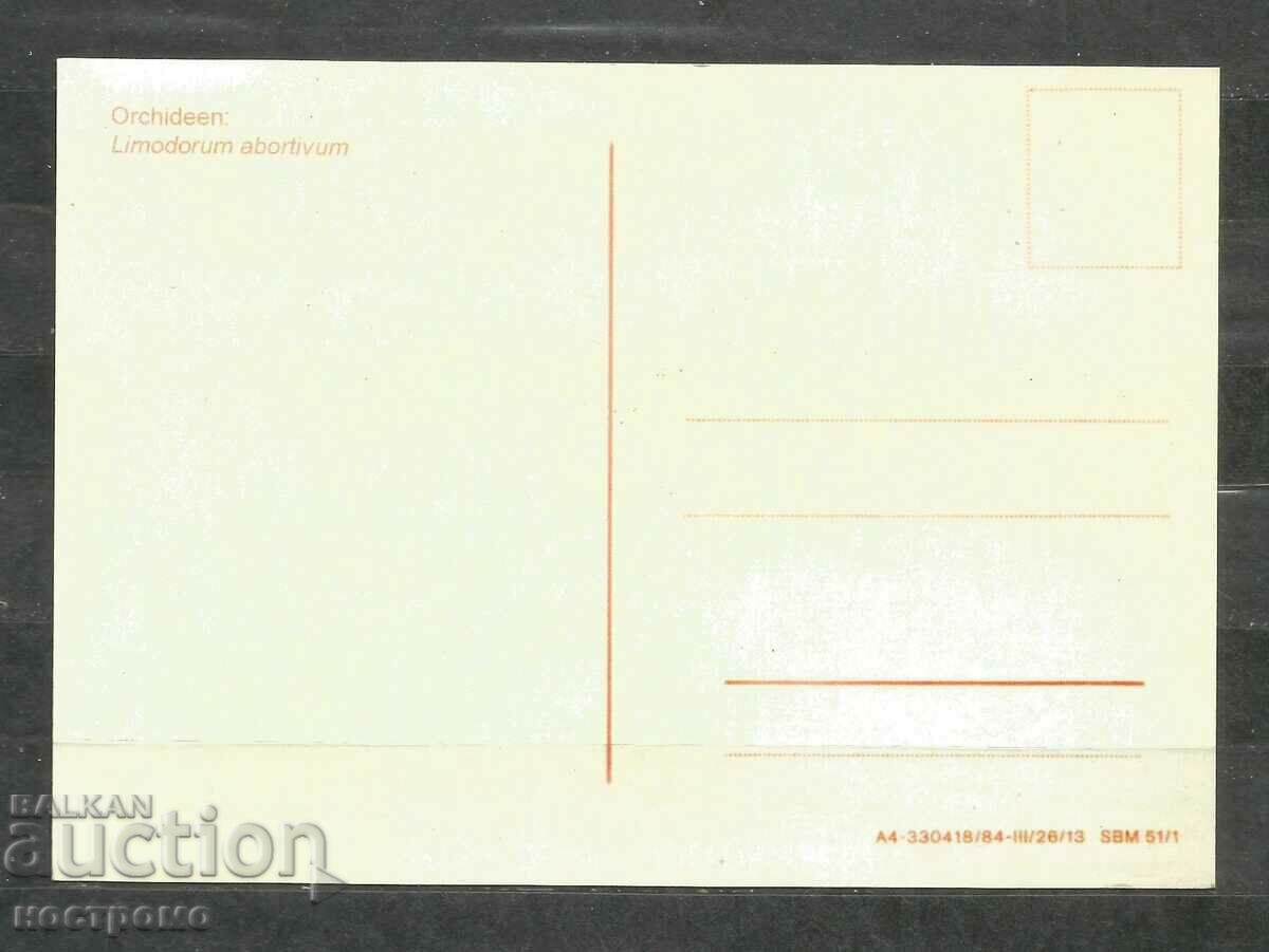 Orchideen - Germany Post card - A 1669 with price 1.00 BGN | € 0.51 Orchideen - Germany Post card - A 1669 with price 1.00 BGN | € 0.51