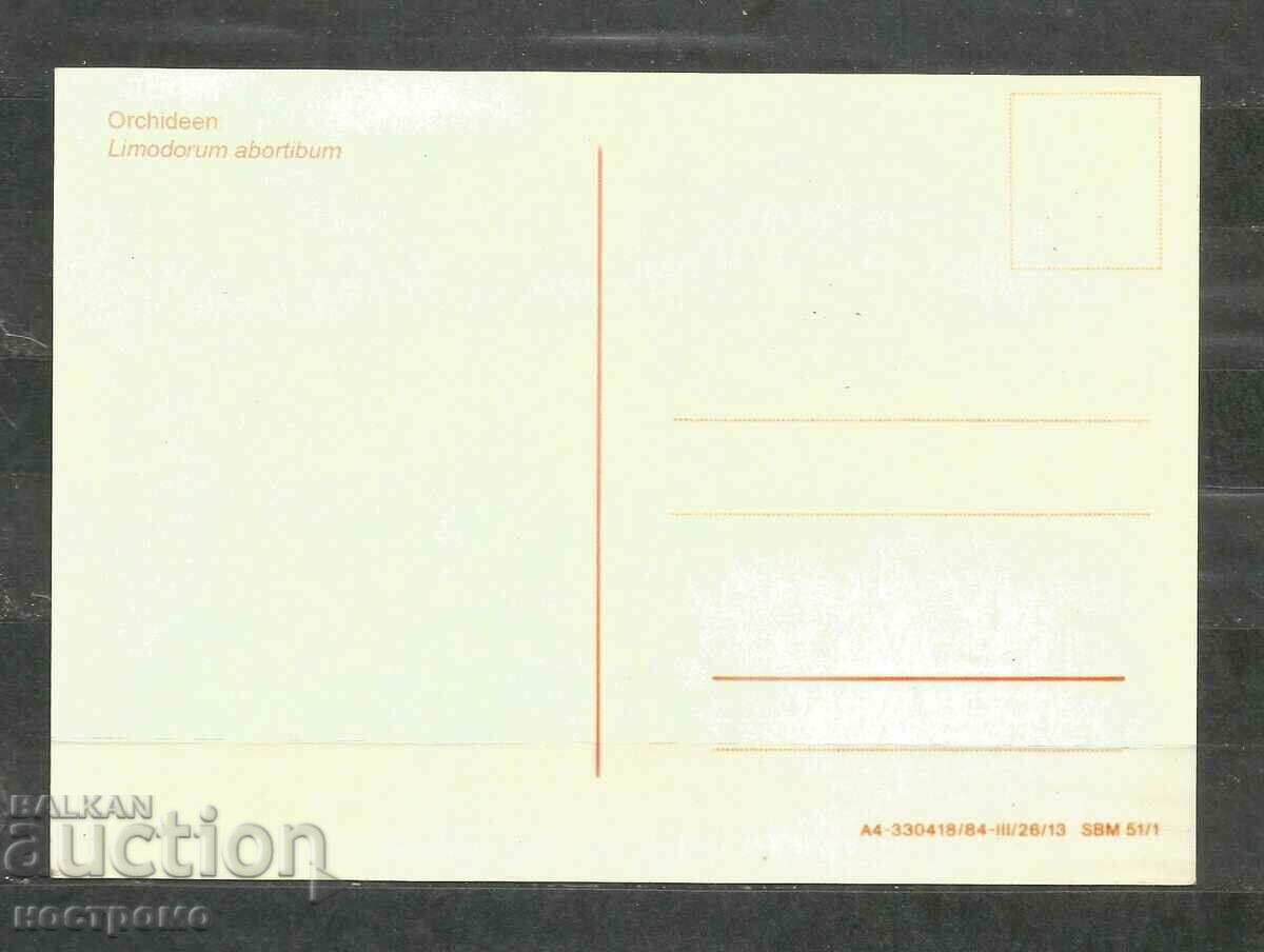 Orchideen - Germany Post card - A 1671 with price 1.00 BGN | € 0.51 Orchideen - Germany Post card - A 1671 with price 1.00 BGN | € 0.51