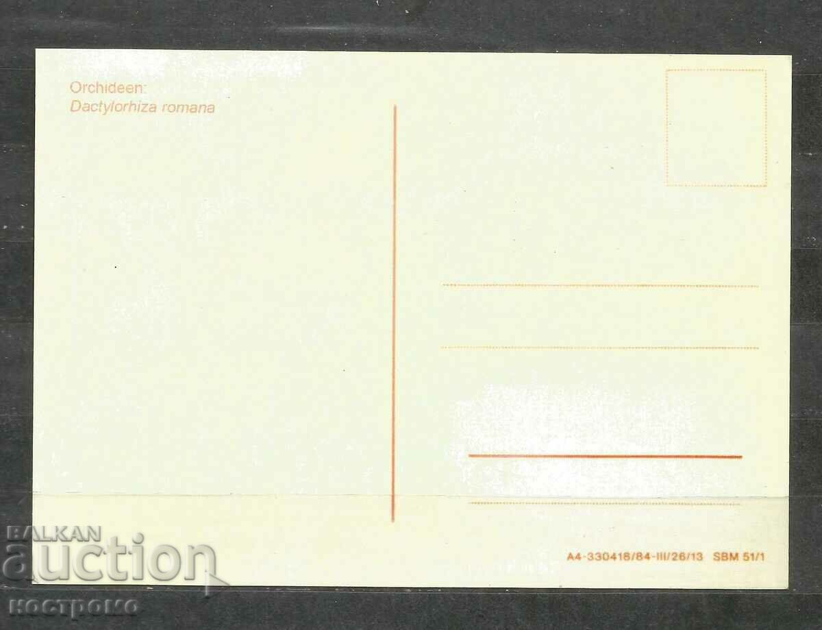 Orchideen - Germany Post card - A 1673 with price 1.00 BGN | € 0.51