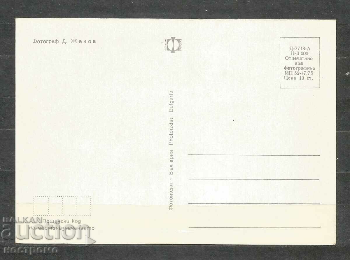 Flora - Bulgaria Post card - A 1674 with price 1.00 BGN | € 0.51 Flora - Bulgaria Post card - A 1674 with price 1.00 BGN | € 0.51