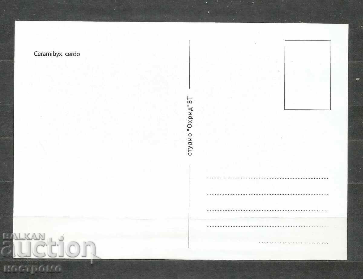 Insect - Fauna - Macedonia Post card - A 1676 with price 1.00 BGN | € 0.51 Insect - Fauna - Macedonia Post card - A 1676 with price 1.00 BGN | € 0.51