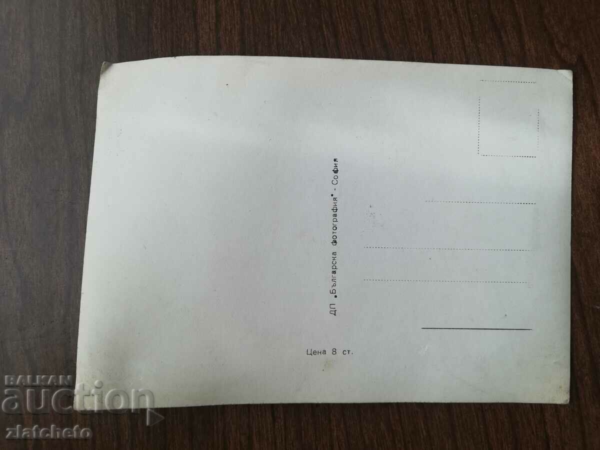 Old card artists - Francoise Arnoul with price 4.00 BGN | € 2.05 Old card artists - Francoise Arnoul with price 4.00 BGN | € 2.05