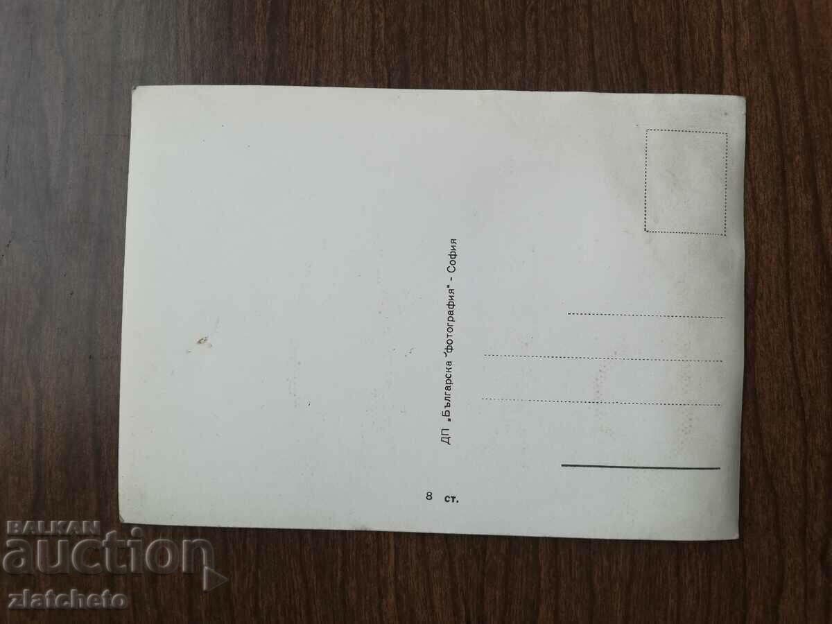 Old card artists - Leslie Caron with price 4.00 BGN | € 2.05 Old card artists - Leslie Caron with price 4.00 BGN | € 2.05