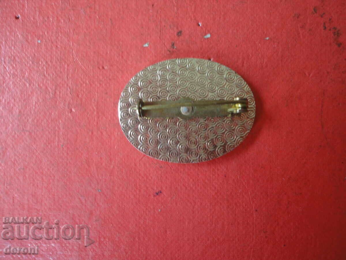 Auction Amazing Brooch 1 Auction Amazing Brooch 1