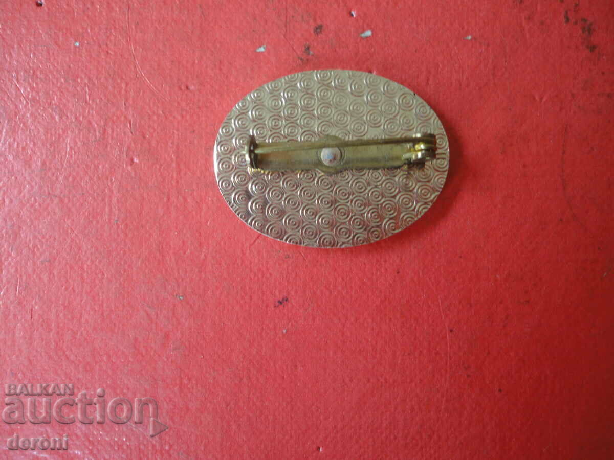 Delivery of Amazing Brooch 1 Delivery of Amazing Brooch 1