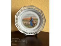 Collector's plate - old quality German porcelain