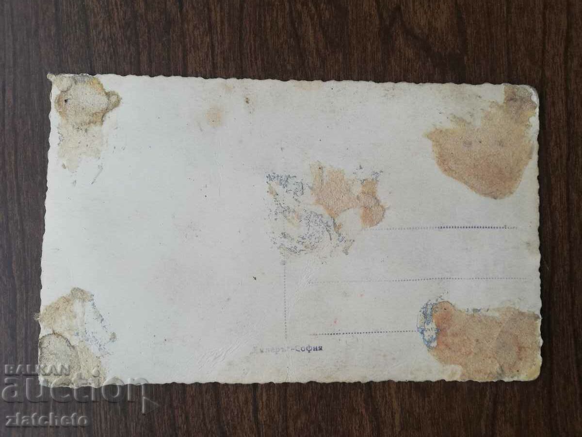 Auction  Old map Kingdom of Bulgaria. artists - Ellen Wood