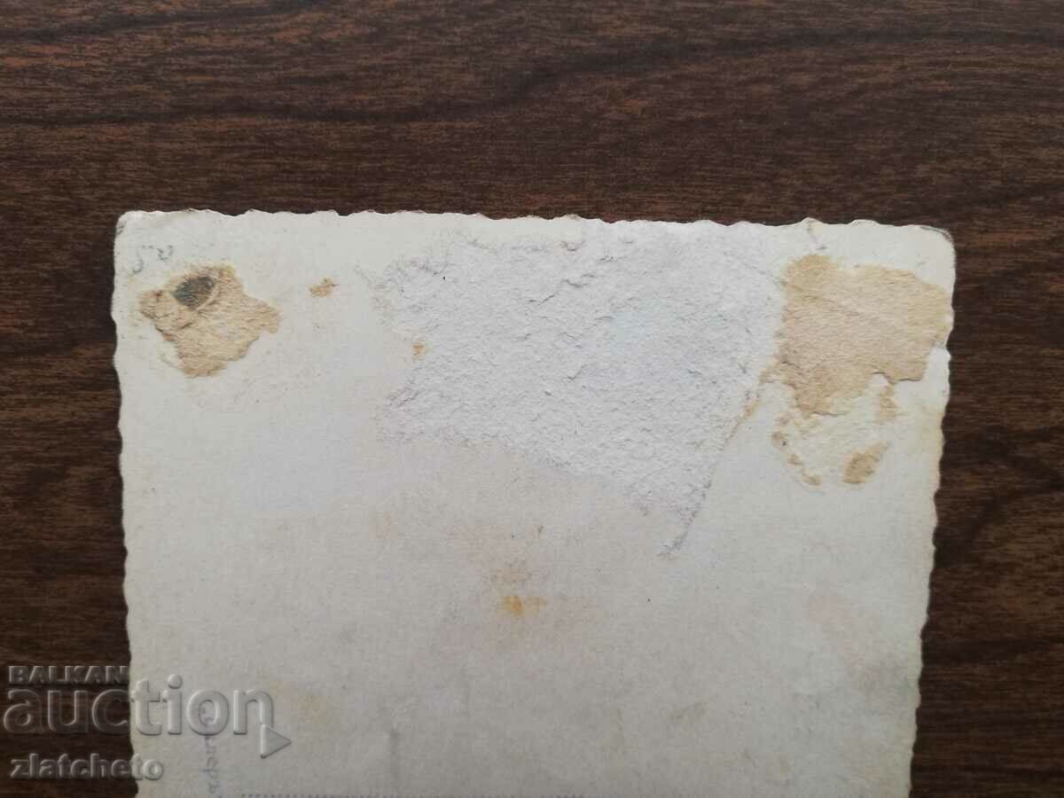 Auction  Old map Kingdom of Bulgaria. artists - Rochelle Hudson