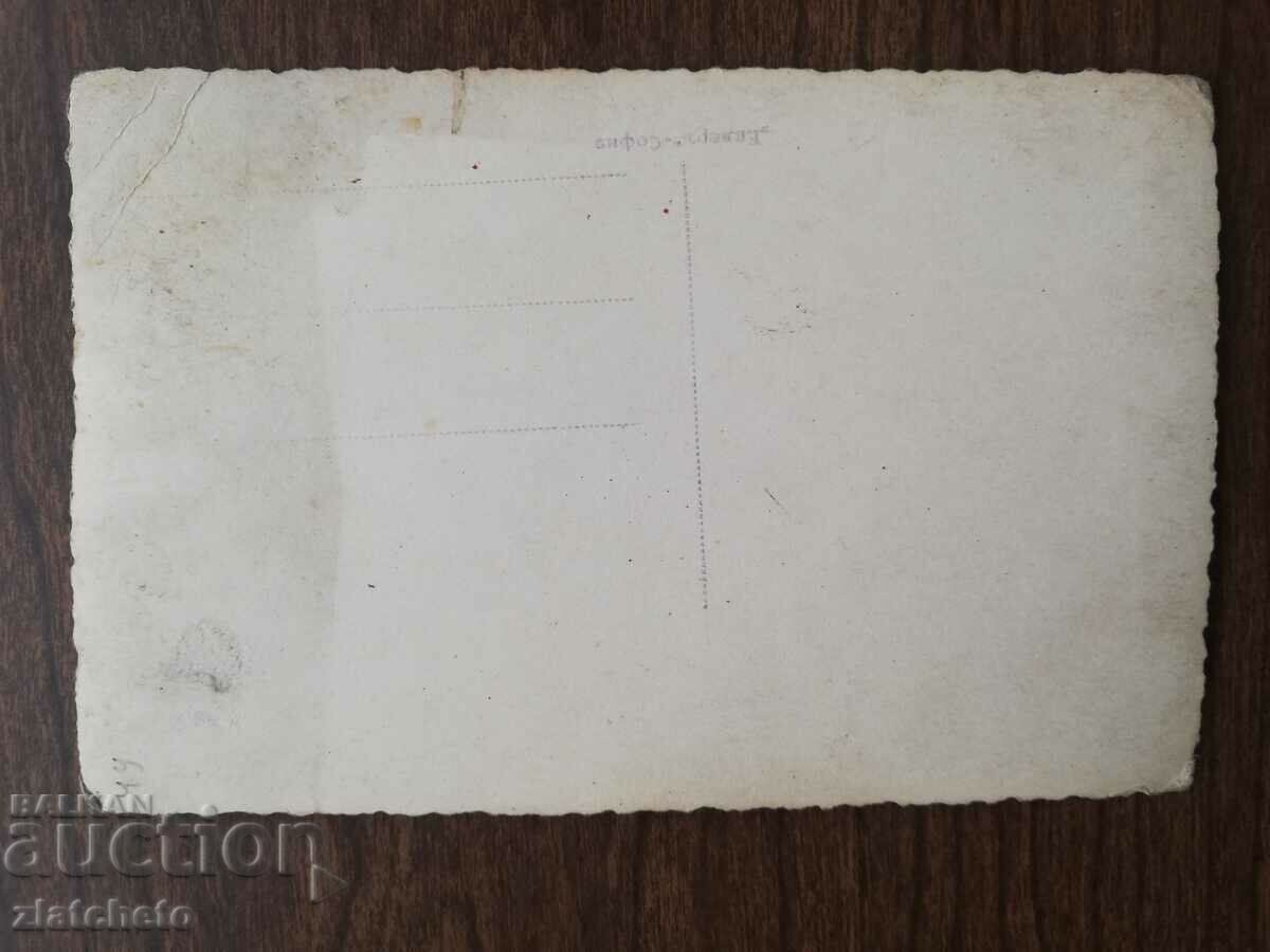 Delivery of Old map Kingdom of Bulgaria. artists - Brigitta Helm Delivery of Old map Kingdom of Bulgaria. artists - Brigitta Helm