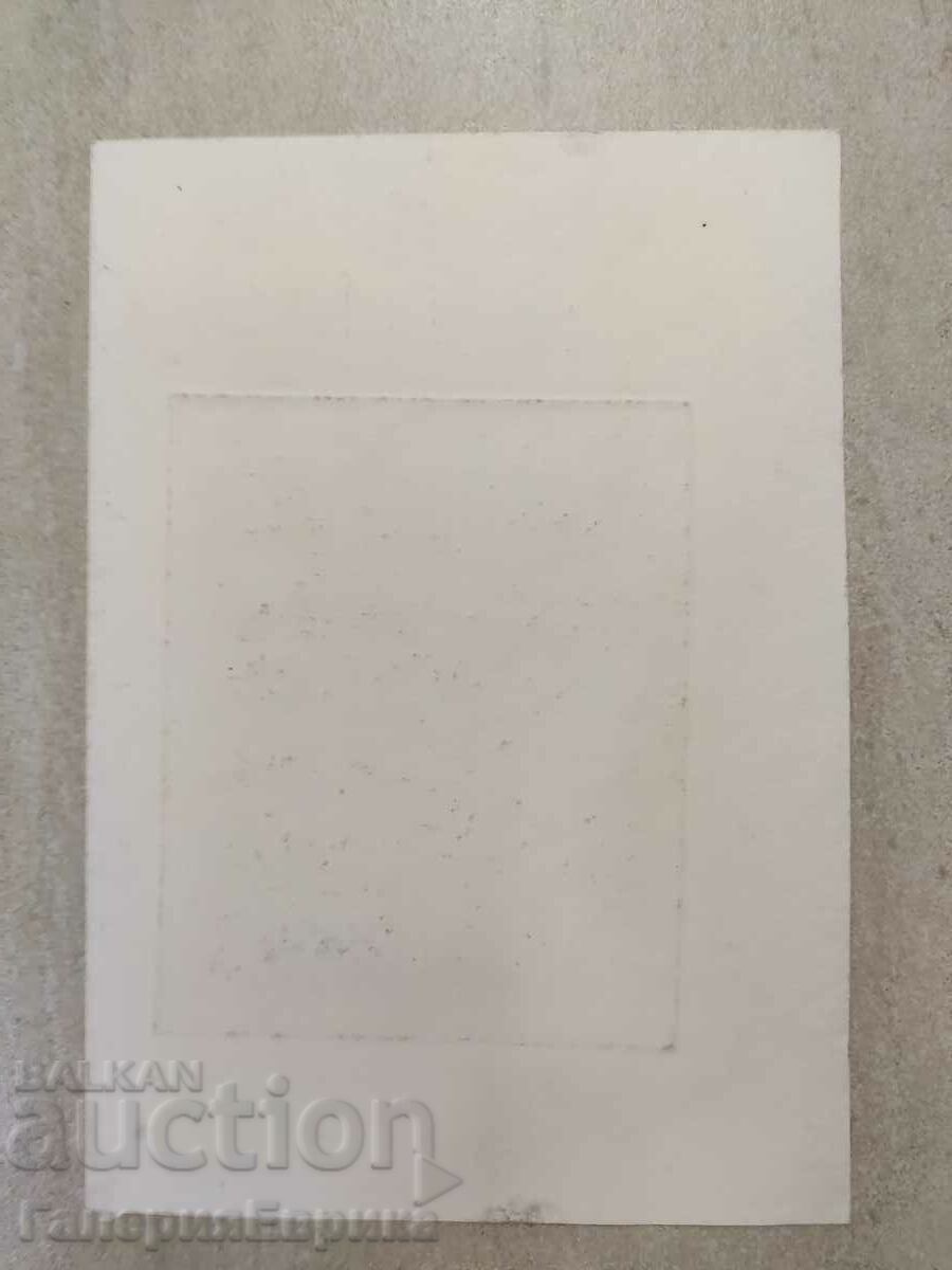 Delivery of Irena Dilkova graphics Delivery of Irena Dilkova graphics