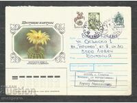 Cactus - Flora - Traveled cover Russia - A 1717
