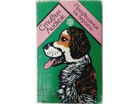 Nelegiuirea stiloului, Stephen Leacock (20.2)