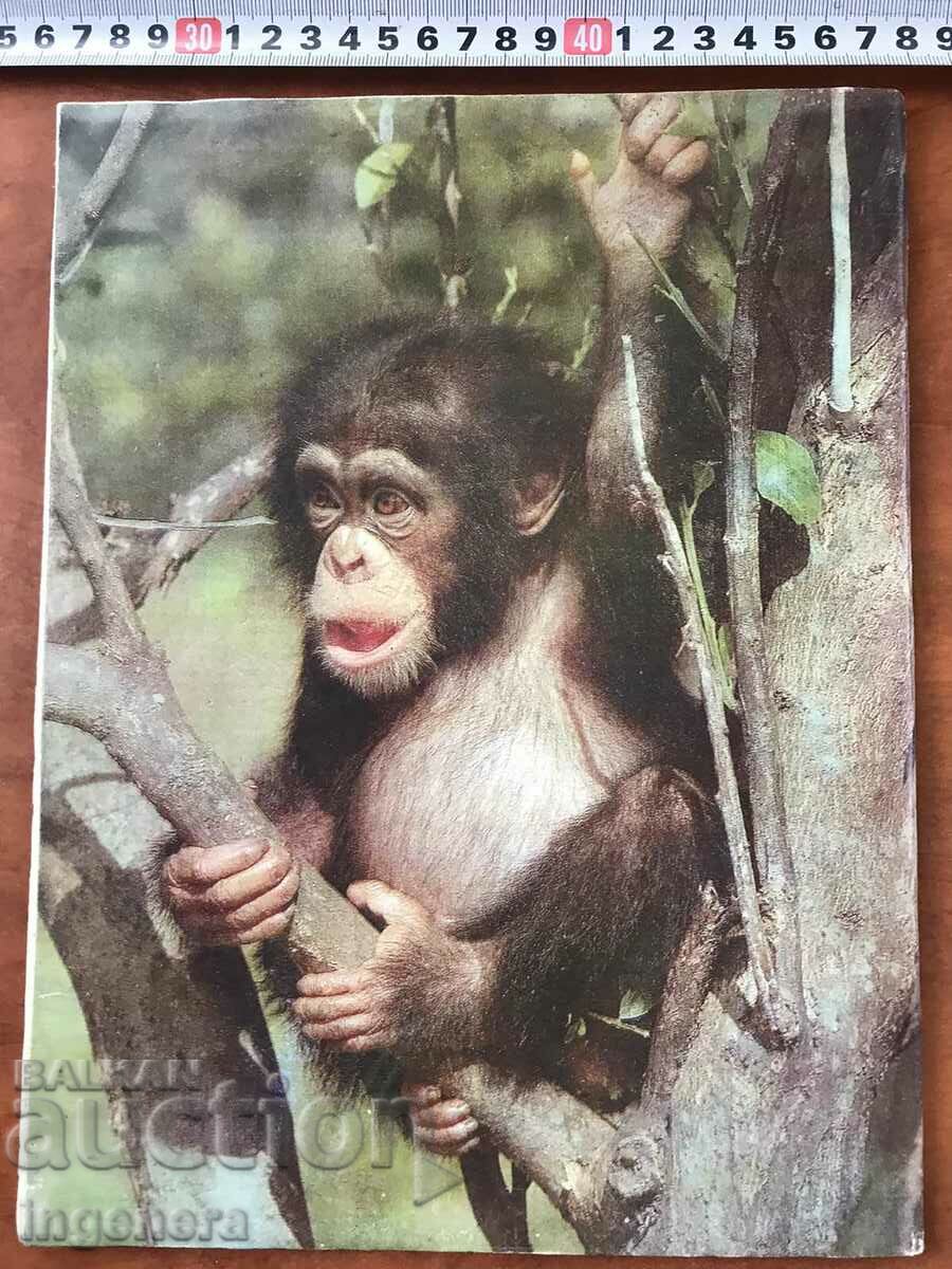 "KOSMOS" MAGAZINE - KN.6/1979 with price 3.00 BGN | € 1.53 "KOSMOS" MAGAZINE - KN.6/1979 with price 3.00 BGN | € 1.53