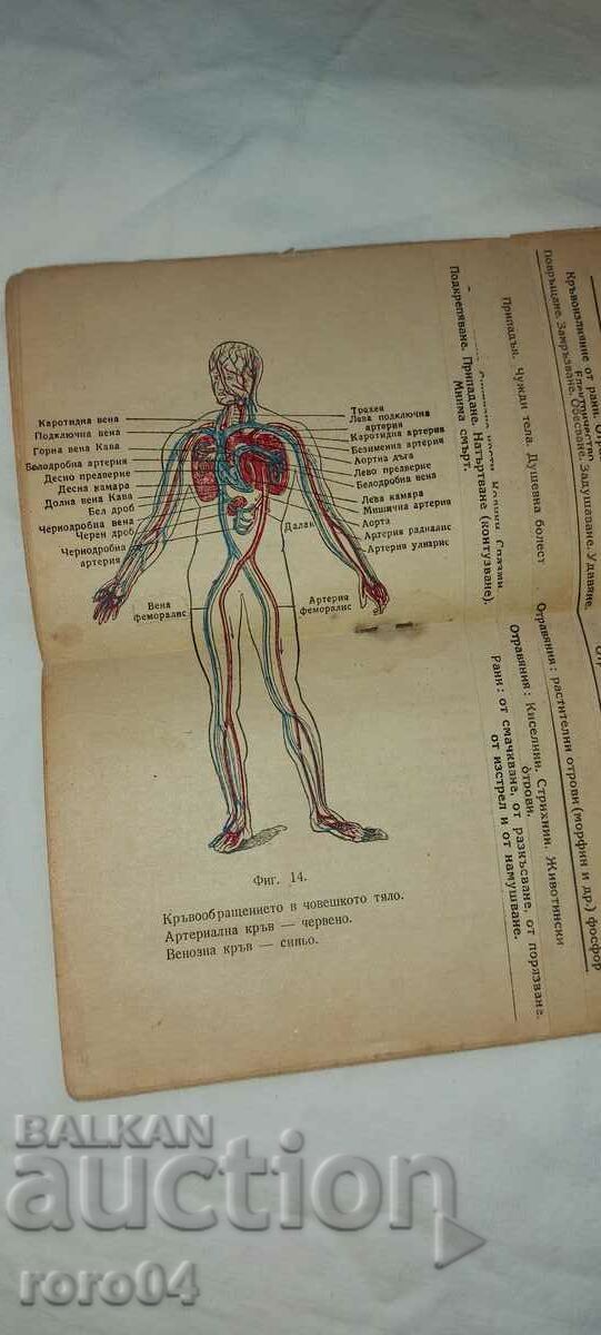 ΒΙΒΛΙΑΡΙΟ ΣΑΜΑΡΙΤΑΝΟΣ - 6