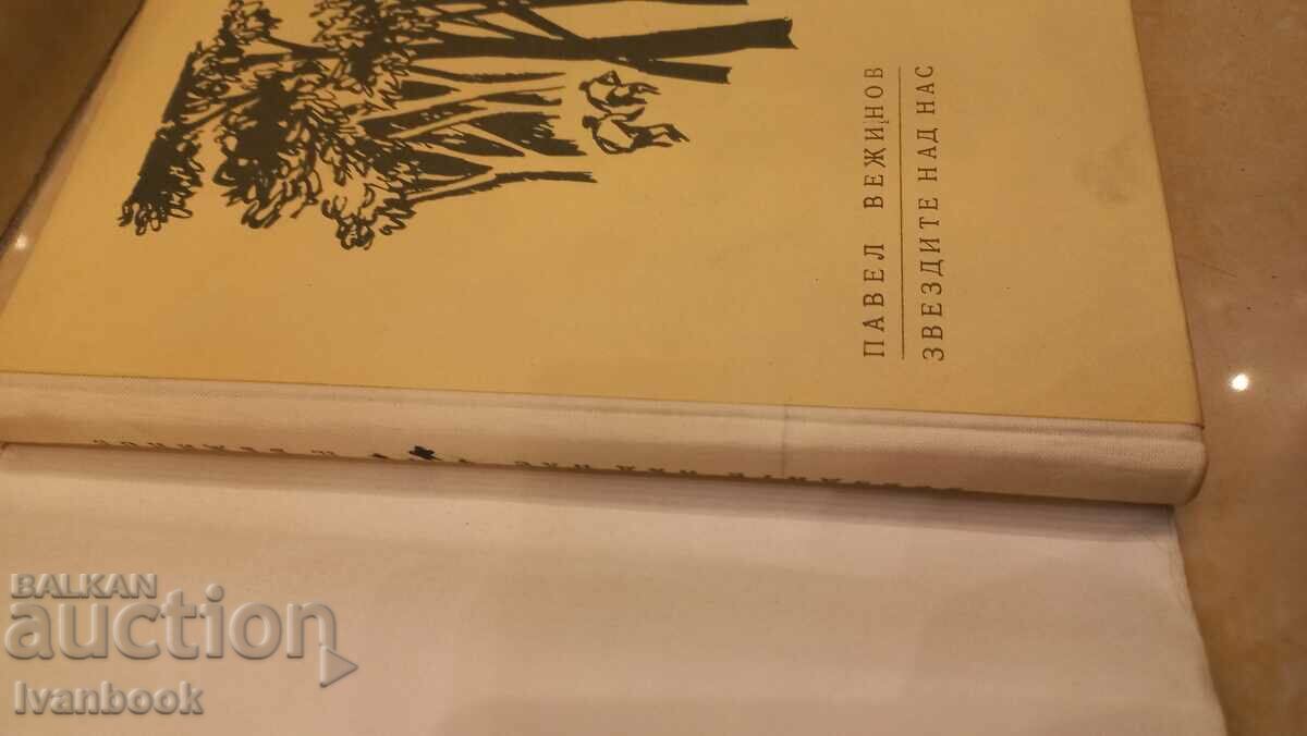 Auction Pavel Vezhinov - The stars above us Auction Pavel Vezhinov - The stars above us