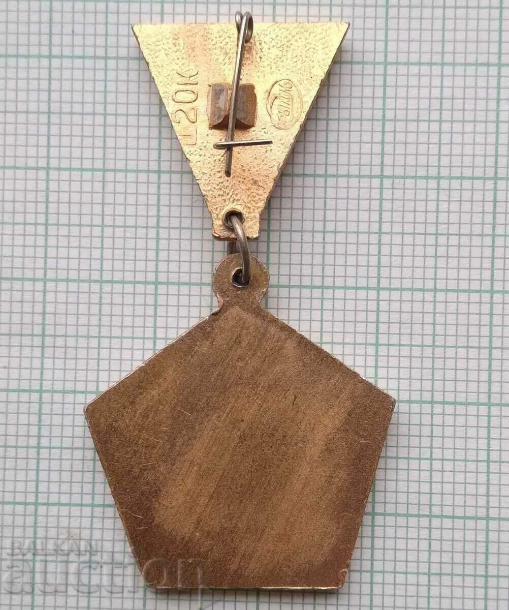 Auction 13950 Badge - Liberation of Rostov Auction 13950 Badge - Liberation of Rostov