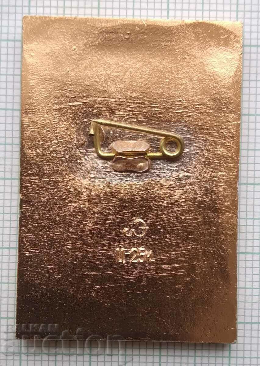 Delivery of 13952 Badge - Leningrad - hero city Delivery of 13952 Badge - Leningrad - hero city