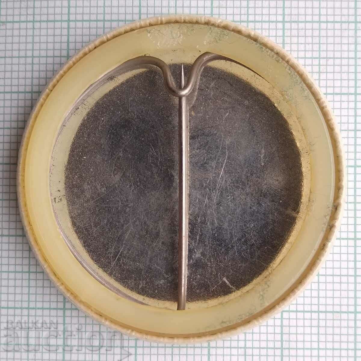 Licitație 13956 Insigna - 30 de ani de la victorie Licitație 13956 Insigna - 30 de ani de la victorie